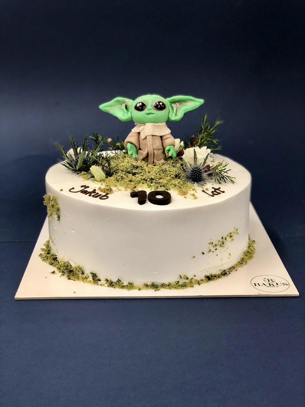Tort-Yoda.webp